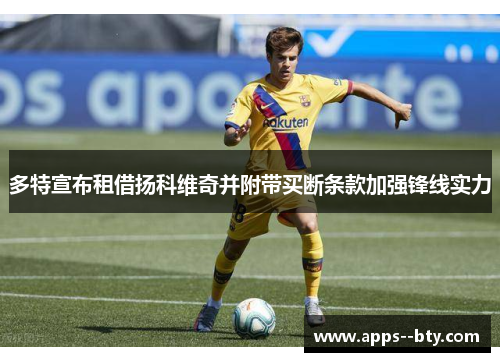 多特宣布租借扬科维奇并附带买断条款加强锋线实力